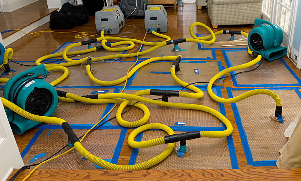Professional Emergency Water Removal technician working in Cutler, OH